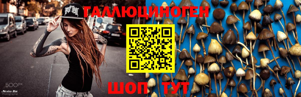 даркнет сайт  Галлюциногенные грибы Psilocybine cubensis  Вход с VPN  Москва  Галлюциногенные грибы GOLDEN TEACHER 